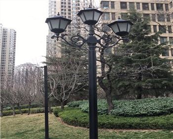 青海太陽能路燈案例-西安白樺林間